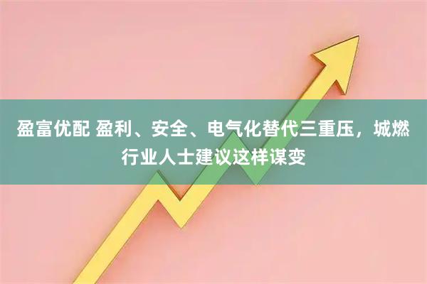 盈富优配 盈利、安全、电气化替代三重压，城燃行业人士建议这样谋变