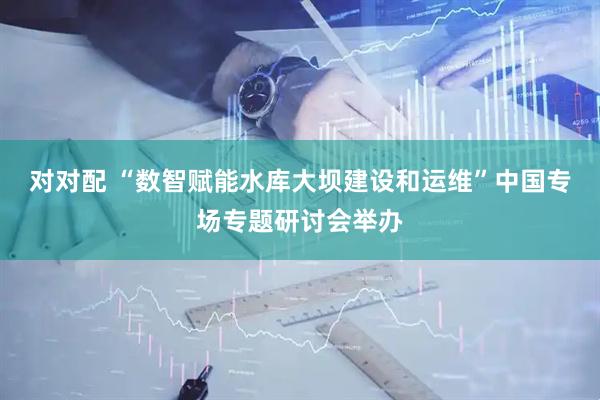 对对配 “数智赋能水库大坝建设和运维”中国专场专题研讨会举办