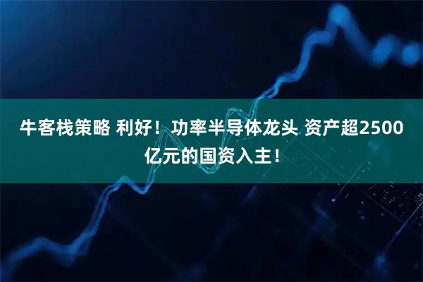 牛客栈策略 利好！功率半导体龙头 资产超2500亿元的国资入主！