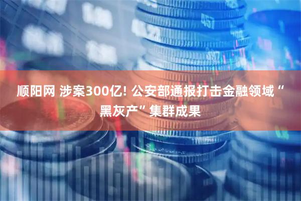 顺阳网 涉案300亿! 公安部通报打击金融领域“黑灰产”集群成果