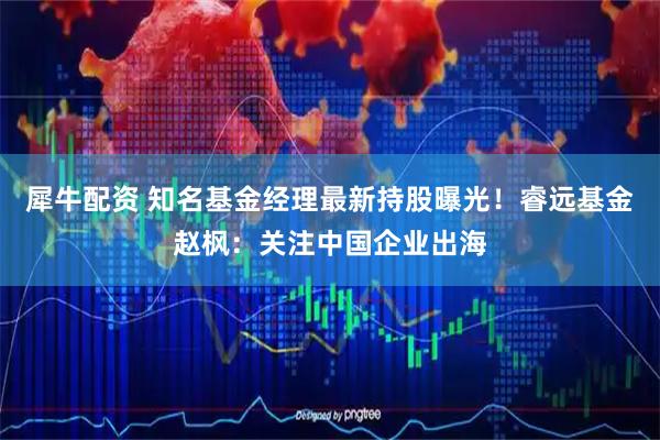 犀牛配资 知名基金经理最新持股曝光！睿远基金赵枫：关注中国企业出海