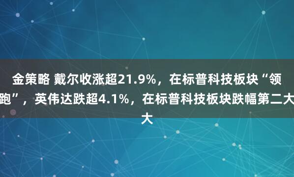 金策略 戴尔收涨超21.9%，在标普科技板块“领跑”，英伟达跌超4.1%，在标普科技板块跌幅第二大
